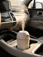 Car Diffuser 001